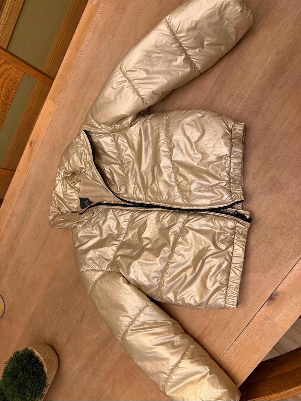 wild fable Metallic Gold Puffer Jacket